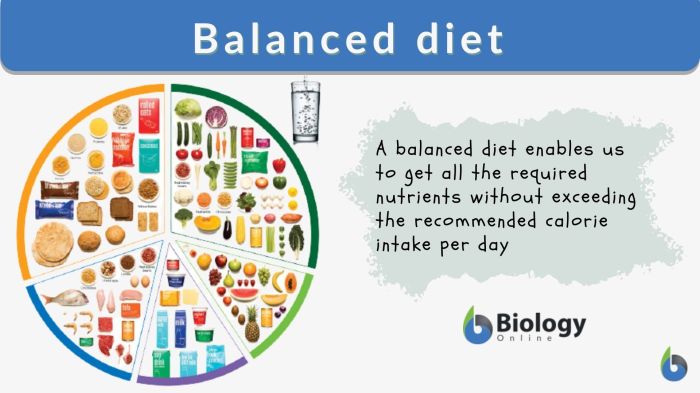 Balanced majors fruits humans protein diet grains vegetables